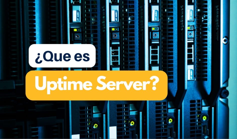 Uptime server web hosting